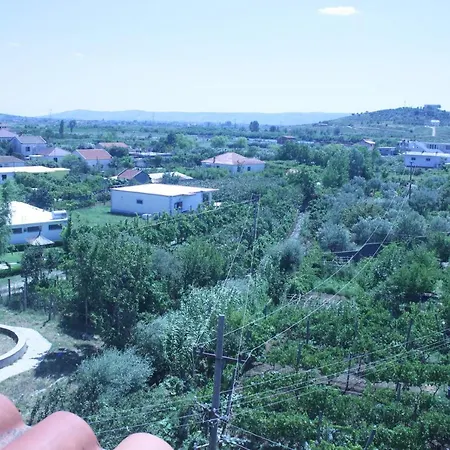 Sarda